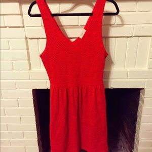 Francesca’s Lace Dress